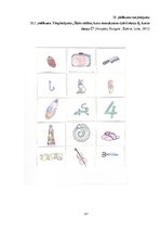 Diplomdarbs 'Fonemātiskās uztveres sekmēšana vecākā pirmsskolas vecuma bērniem ar runas fonēt', 97.