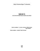 Referāts 'Medus', 1.