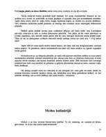 Referāts 'Medus', 37.