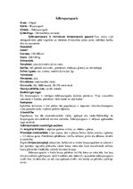 Konspekts 'Bruņurupuči', 3.