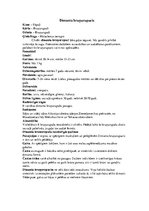 Konspekts 'Bruņurupuči', 7.