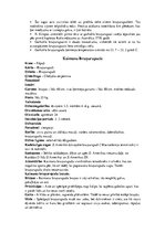 Konspekts 'Bruņurupuči', 12.