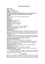 Konspekts 'Bruņurupuči', 14.