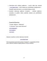 Referāts 'Ražošanas uzņēmuma sortimenta paplašināšanas lietderība', 27.