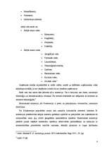 Referāts 'E-biznesa iespējas Latvijā, problēmas un ieteicamie risinājumi', 6.