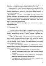 Referāts 'E-biznesa iespējas Latvijā, problēmas un ieteicamie risinājumi', 13.