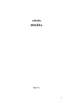 Konspekts 'Holēra', 1.