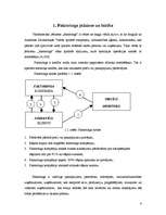 Referāts 'Faktoringa izmantošanas plusi un mīnusi uzņēmumam', 4.