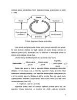 Referāts 'Faktoringa izmantošanas plusi un mīnusi uzņēmumam', 8.