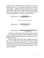 Referāts 'Faktoringa izmantošanas plusi un mīnusi uzņēmumam', 9.