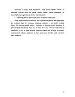 Referāts 'Faktoringa izmantošanas plusi un mīnusi uzņēmumam', 14.