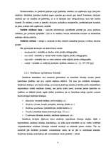 Referāts 'Reklāmas darbības izpēte viesnīcā "Islande Hotel"', 8.