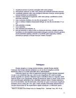 Referāts 'Māstrihtas līgums. Eiropas integrācija', 10.