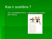 Prezentācija 'Acetilēns jeb etīns', 3.