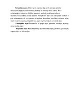 Konspekts 'Sāpes, drudzis, medikamenti', 2.