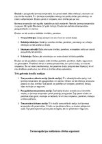 Konspekts 'Sāpes, drudzis, medikamenti', 4.