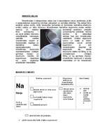 Referāts 'Dabas vielas uzturā', 3.