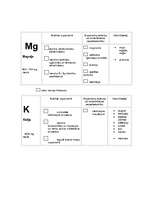 Referāts 'Dabas vielas uzturā', 5.