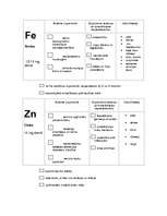 Referāts 'Dabas vielas uzturā', 6.