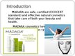 Prezentācija 'Strategic Management SIA "Madara Cosmetics"', 2.
