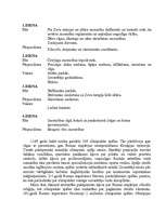 Referāts 'Olimpiskās spēles', 5.