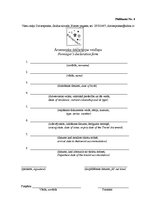 Biznesa plāns 'Dokumentācijas izstrāde trešās kategorijas viesu mājai', 39.