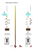 Paraugs 'Stafete sportā', 2.