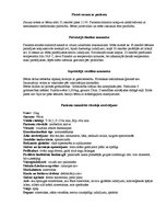 Paraugs 'Pediatrijas aprūpes plāns', 2.