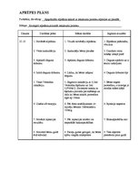 Paraugs 'Pediatrijas aprūpes plāns', 12.