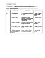 Paraugs 'Pediatrijas aprūpes plāns', 13.