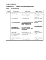 Paraugs 'Pediatrijas aprūpes plāns', 15.