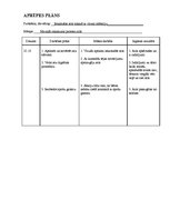 Paraugs 'Pediatrijas aprūpes plāns', 16.