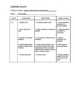 Paraugs 'Pediatrijas aprūpes plāns', 17.