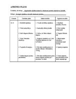 Paraugs 'Pediatrijas aprūpes plāns', 20.