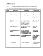 Paraugs 'Pediatrijas aprūpes plāns', 26.