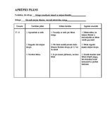 Paraugs 'Pediatrijas aprūpes plāns', 28.