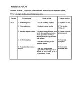 Paraugs 'Pediatrijas aprūpes plāns', 30.