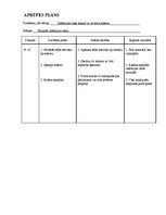 Paraugs 'Pediatrijas aprūpes plāns', 32.