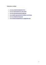 Eseja 'Postmodernisma interpretācijas 20.gadsimta beigās un mans šā brīža skatījums', 6.