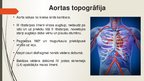 Prezentācija 'Aorta', 9.