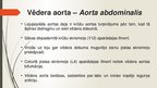 Prezentācija 'Aorta', 16.