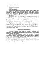 Konspekts 'Prezentācija', 8.