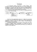 Konspekts 'Prezentācija', 9.