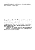 Eseja 'Jāņa Klīdzēja romāna "Cilvēka bērns" interpretācija', 3.