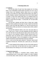 Referāts 'Reklāmas plāns SIA Arco Real Estate', 4.