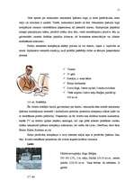 Referāts 'Reklāmas plāns SIA Arco Real Estate', 11.