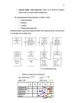 Referāts 'Reklāmas plāns SIA Arco Real Estate', 13.