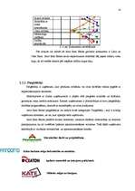 Referāts 'Reklāmas plāns SIA Arco Real Estate', 14.