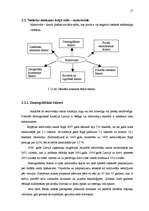 Referāts 'Reklāmas plāns SIA Arco Real Estate', 17.