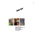 Referāts 'Reklāmas plāns SIA Arco Real Estate', 41.